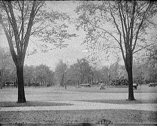 19bidwelldetroit.jpg