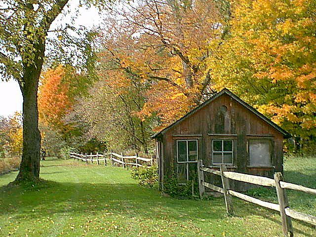 Chicken House.jpg