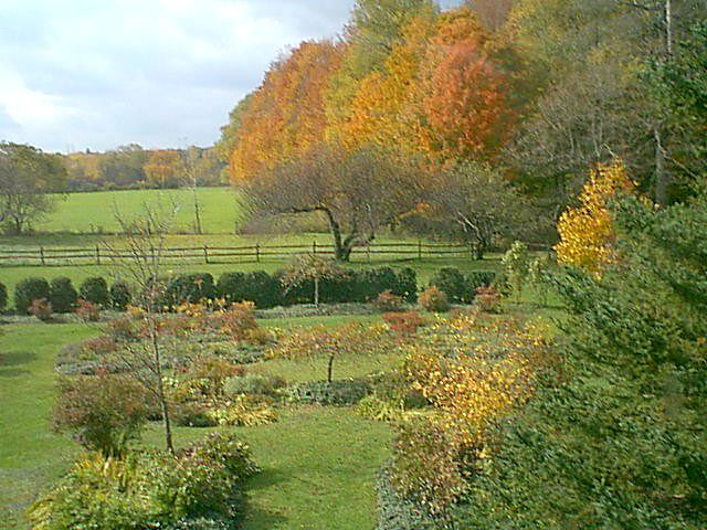 Sugarbush Garden Oct 16.jpg