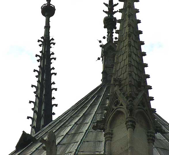 06.jpg